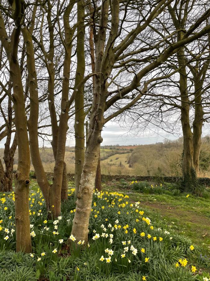 Hill House B & B & Luxury Shepherds Huts Castle Combe Bagian luar foto